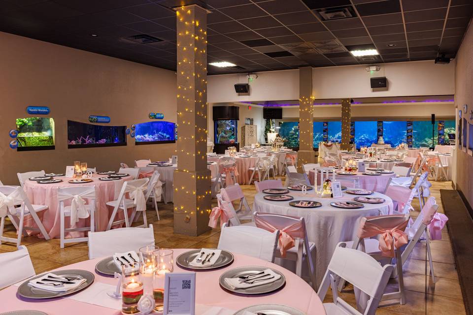 Events surrounded by sea life