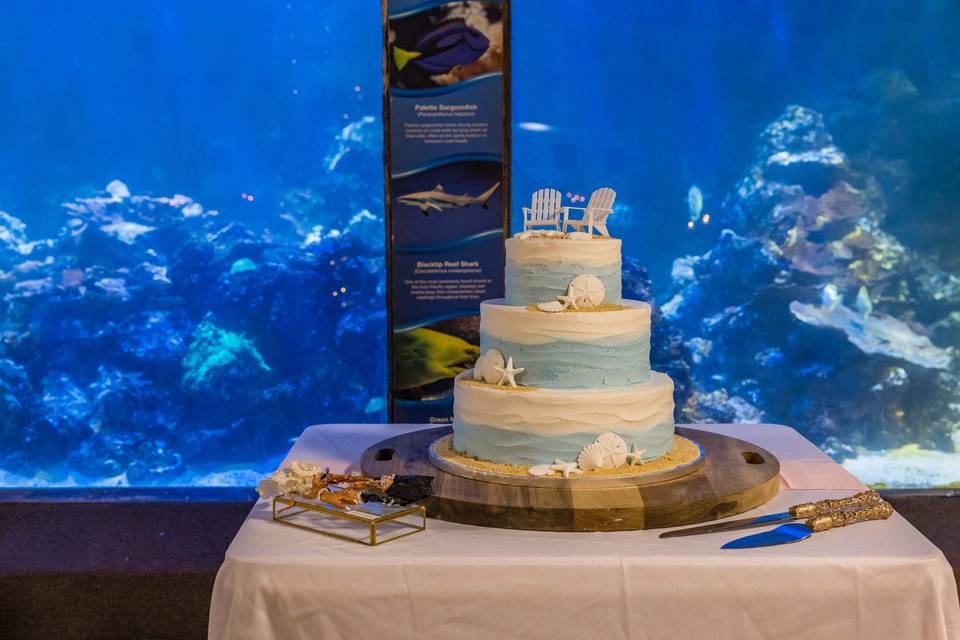 Reef backdrops