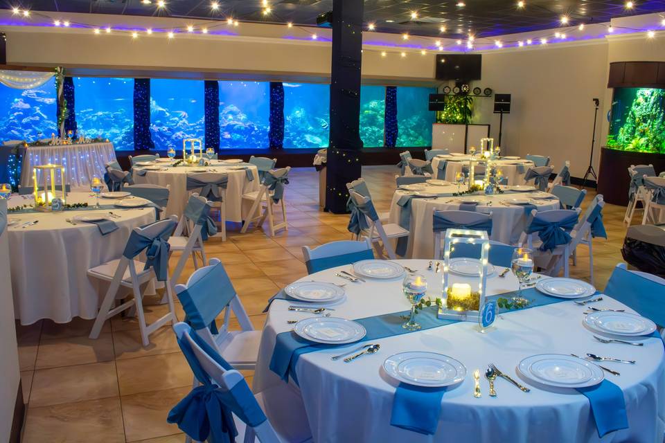 Dine among sea life