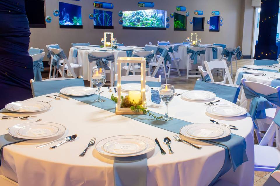 Living Sea Reception