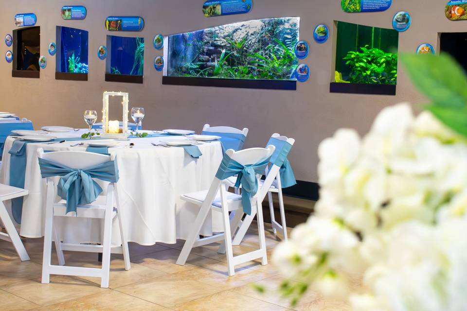 One of a kind setting