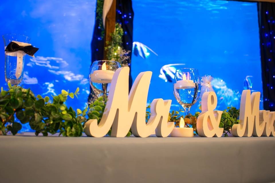 Sea Life Views