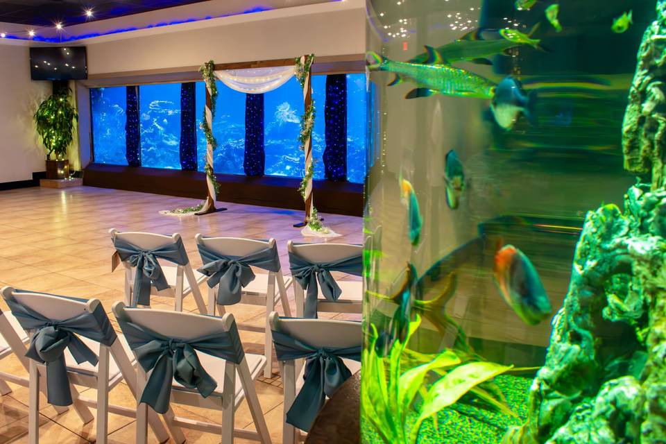 Living Sea Ceremony