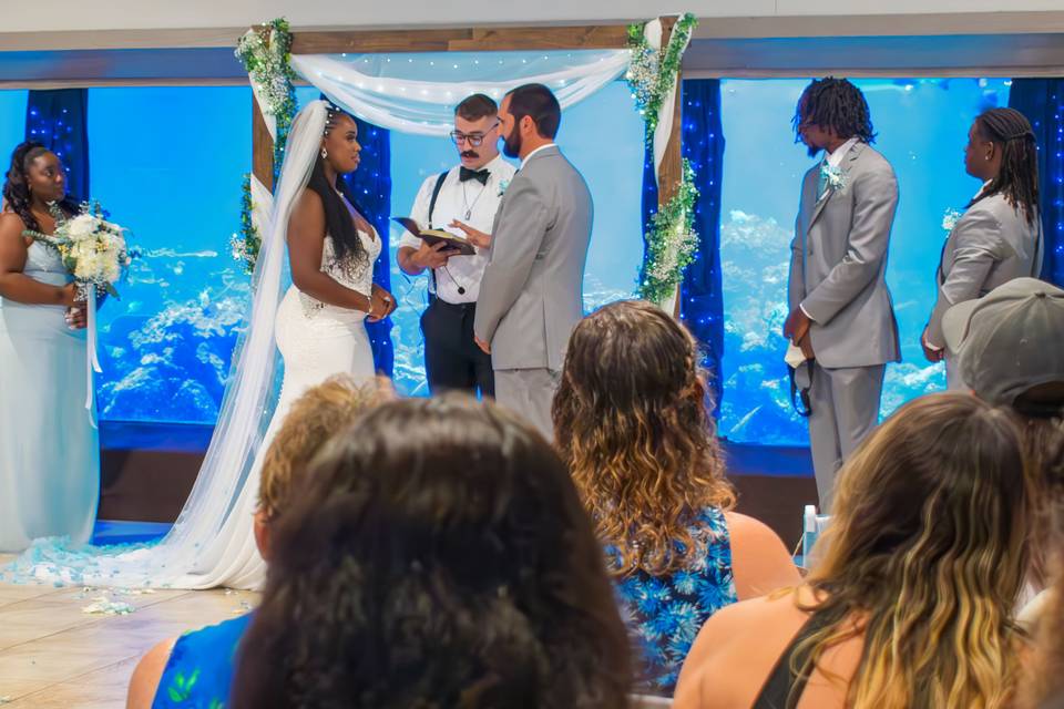 Ceremony framed by aquarium
