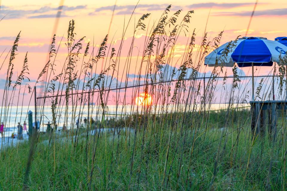 Gulf views at Gulfarium