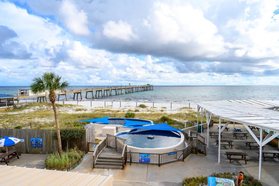 Amazing Gulf views