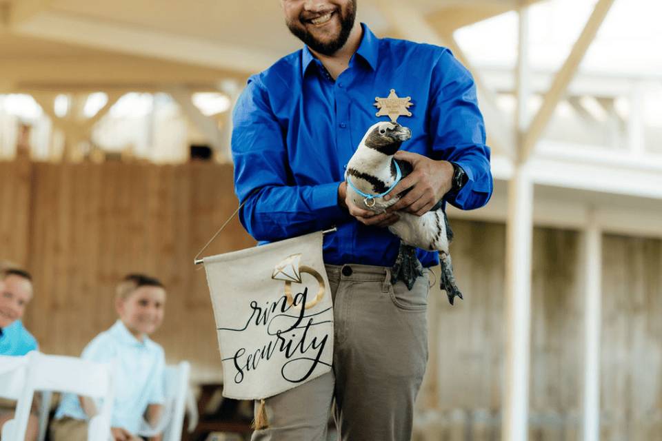 Penguin Ring Bearer