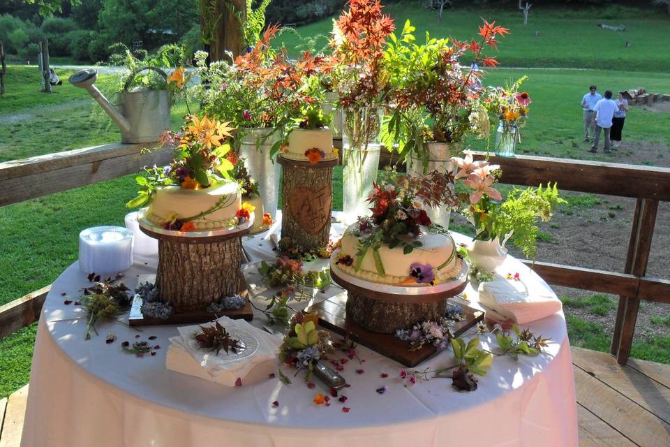 A fresh, natural, woodland look for these carrot cake and white chocolate cream cheese tiers. I used only edible flowers and flora for each cake provided by one of my favorite florists: farmgirl floral and landscaping!