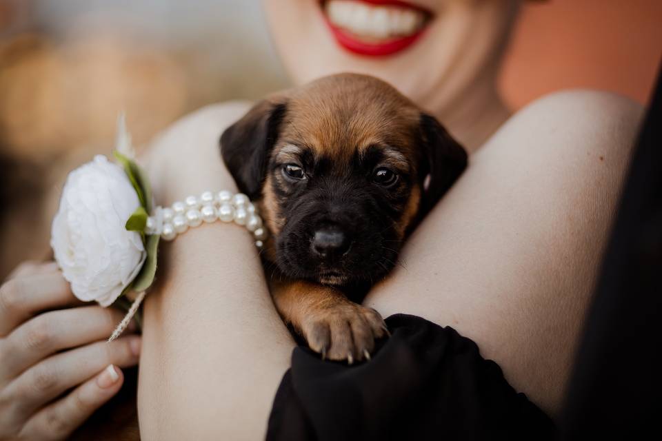 Puppies instead of Bouquets