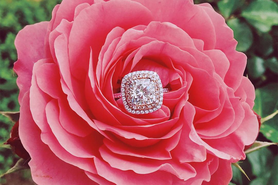 Ascot Diamonds Dallas Wedding Jewelers Addison, TX WeddingWire