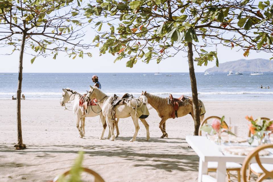 Costa Rica destination wedding