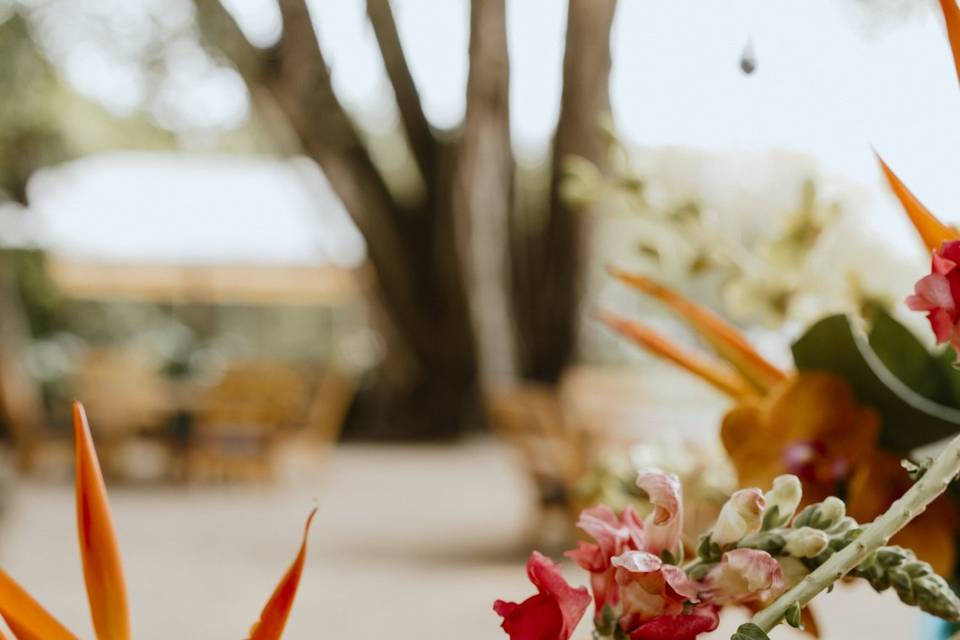 Ceremony at Pangas, Tamarindo