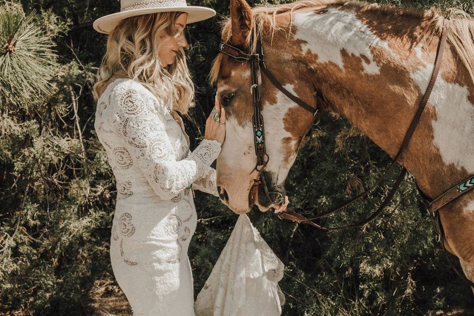 Montana