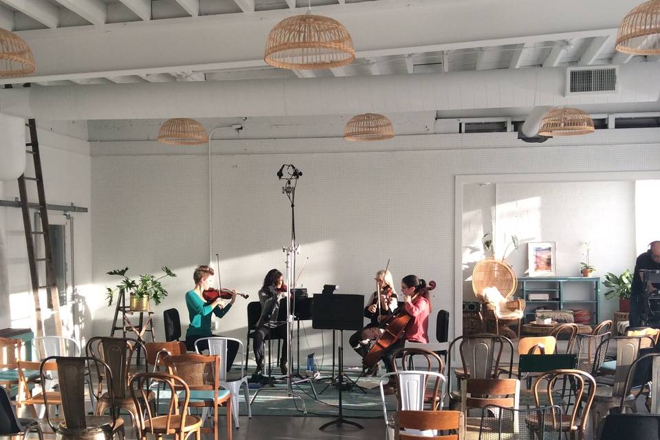 Marble City String Quartet