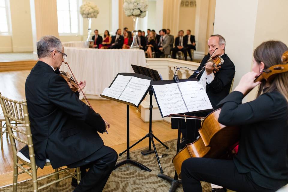 Wedding musician