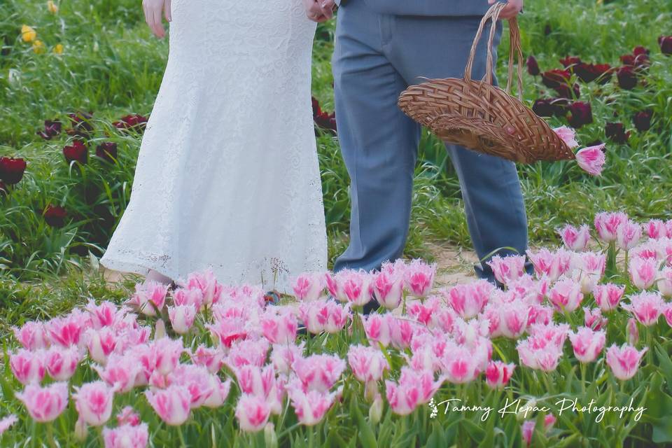 Texas Tulip Farm