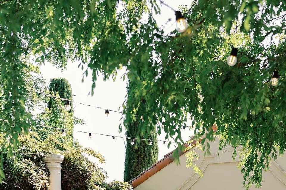 Sun Garden