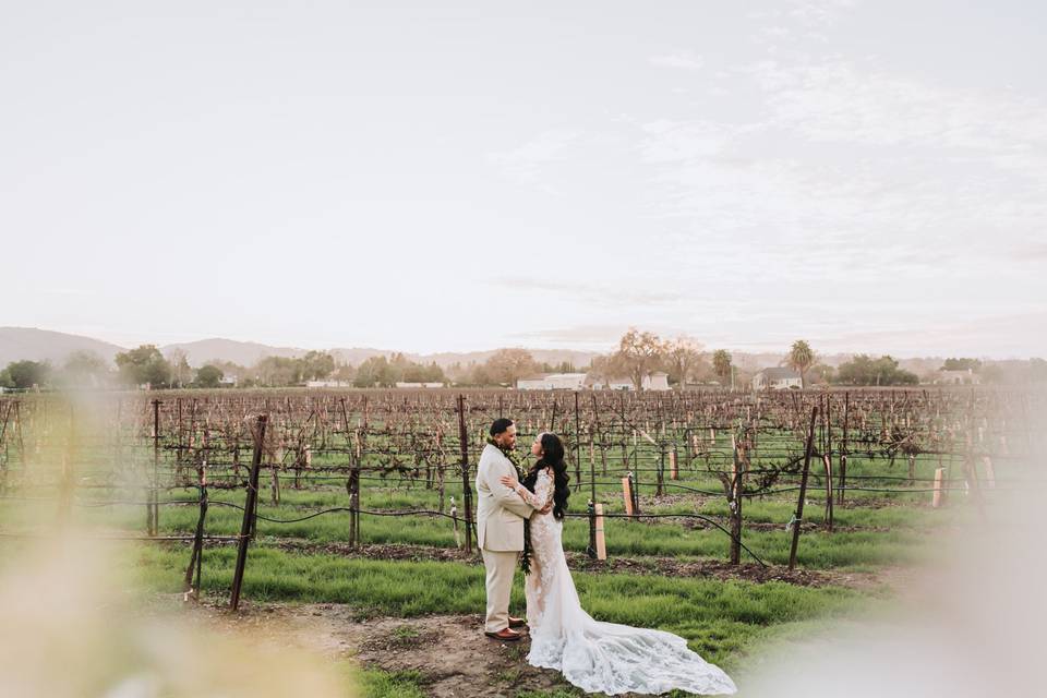 Vineyard