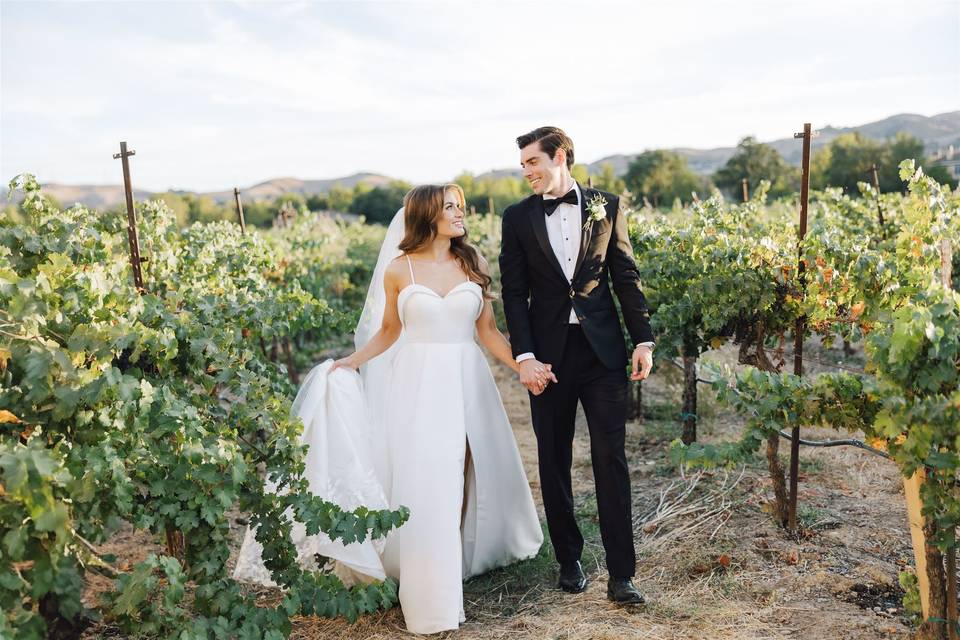 Vineyard