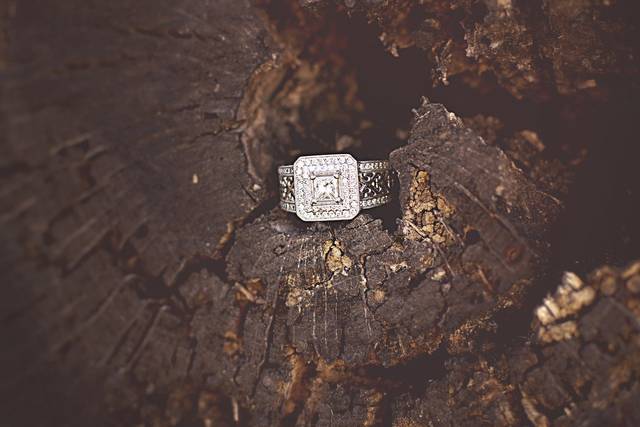 Lovely Fitzgerald Photography