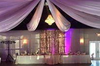 Ceiling Draping