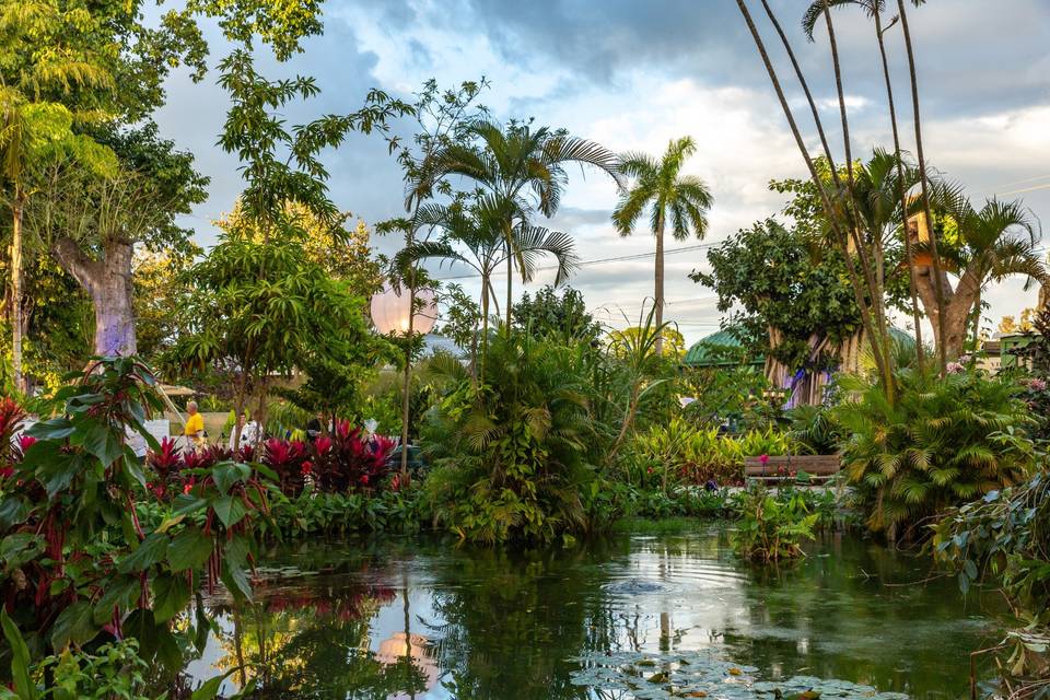 Verdant Flamingo Beach