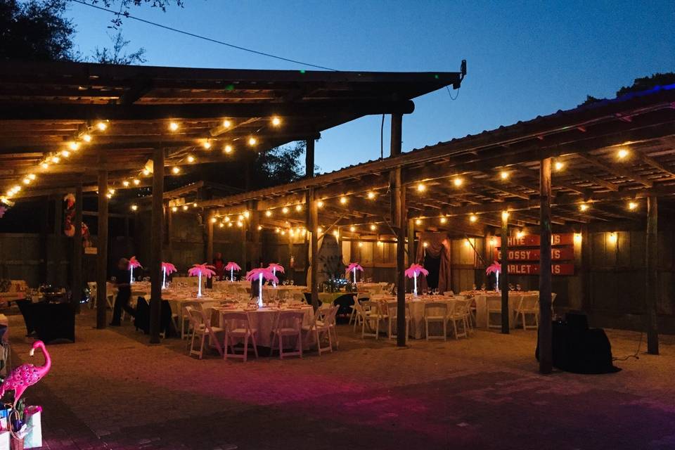 Rustic Pavilion - Sky Views!