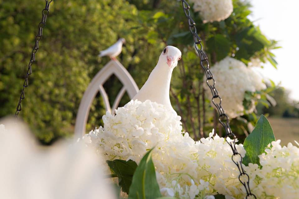 Outdoor wedding ceremony