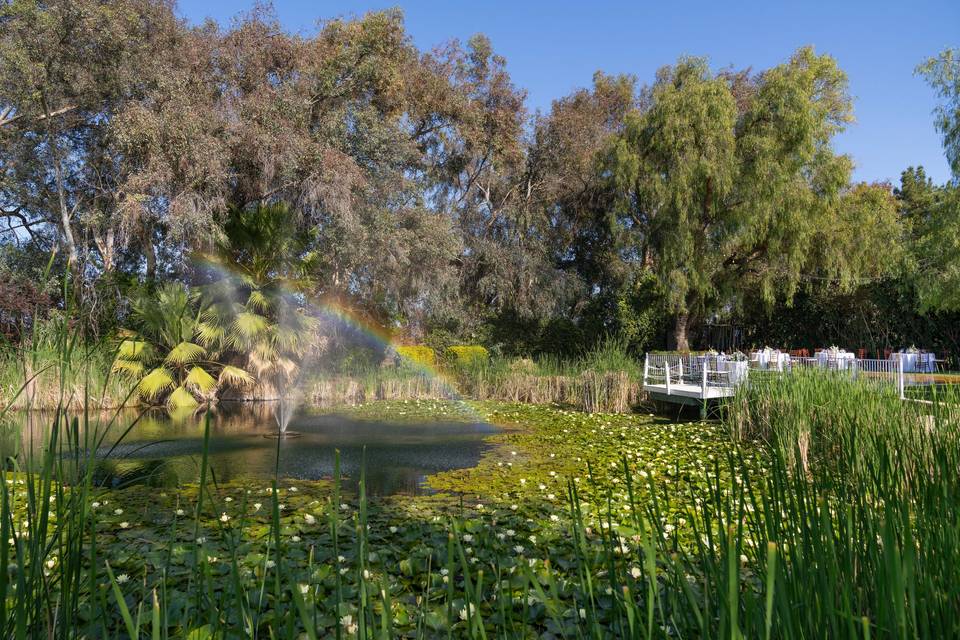 Gazebo and pond