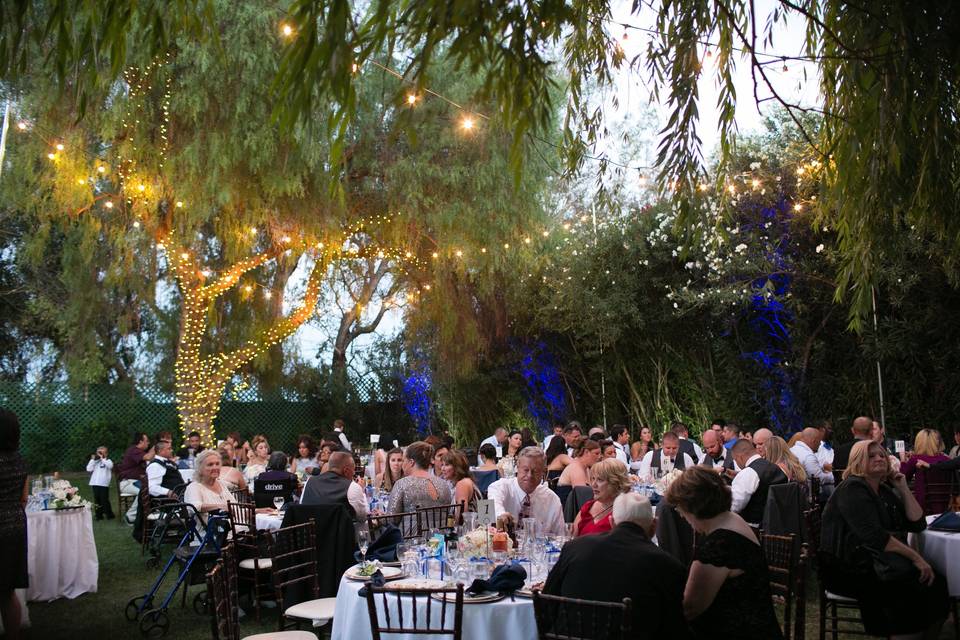 Wedding reception under willow tree