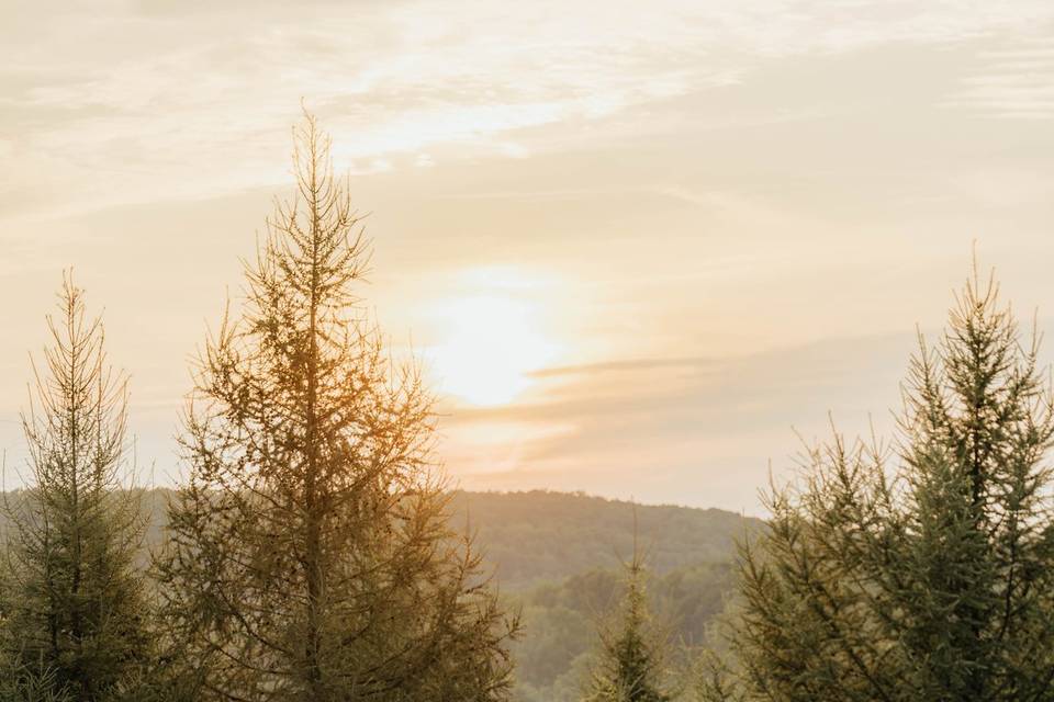Carly Watson Photography