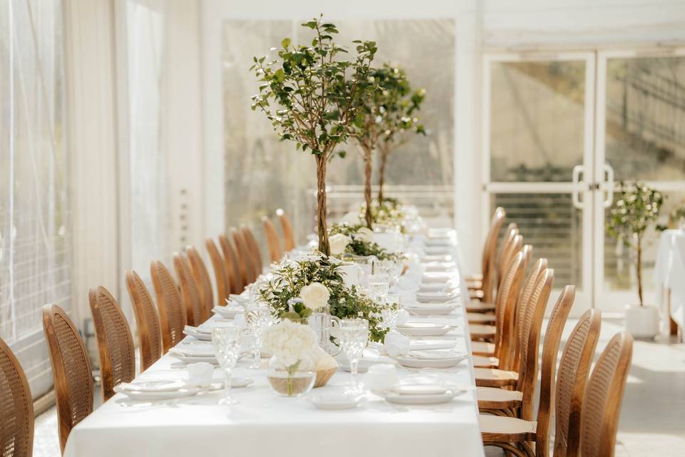Carly Watson Photography