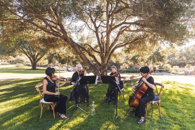 Mariposa String Quartet