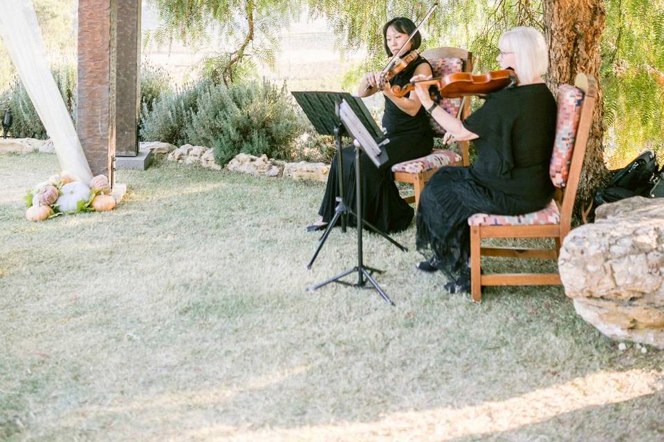 Mariposa String Quartet