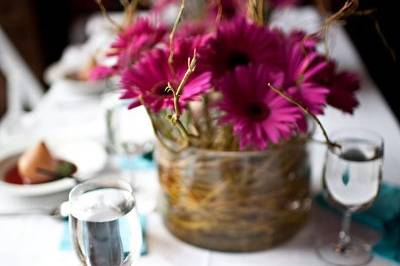 Endless Eleganza Events
