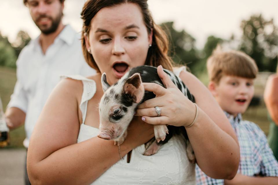 Piglet love