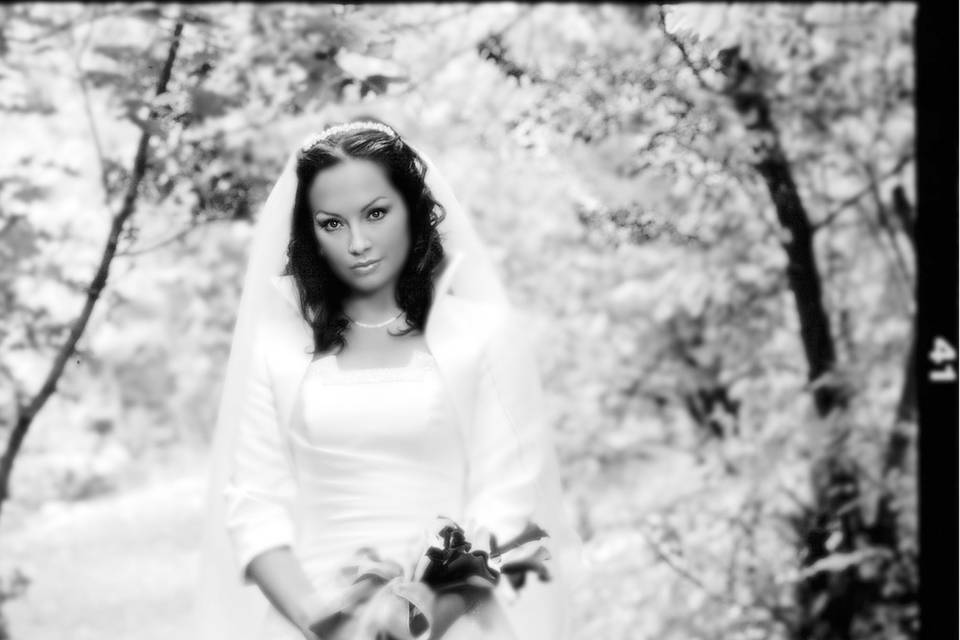 Brett Colvin Photography