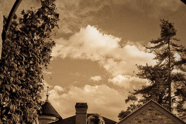 Brett Colvin Photography