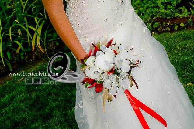 Brett Colvin Photography