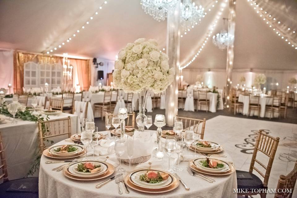 Elegant Ball Room