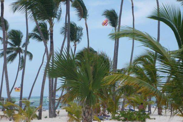 Wedding destination