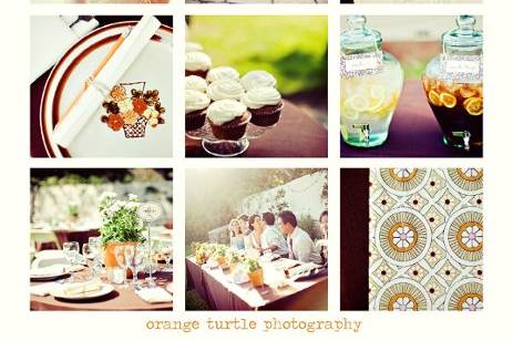 Orange Turtle Photography