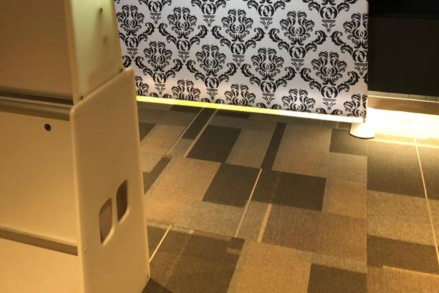 White Damask Backdrop