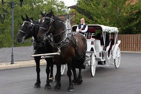 Spring Mist Farms- Carriage Service