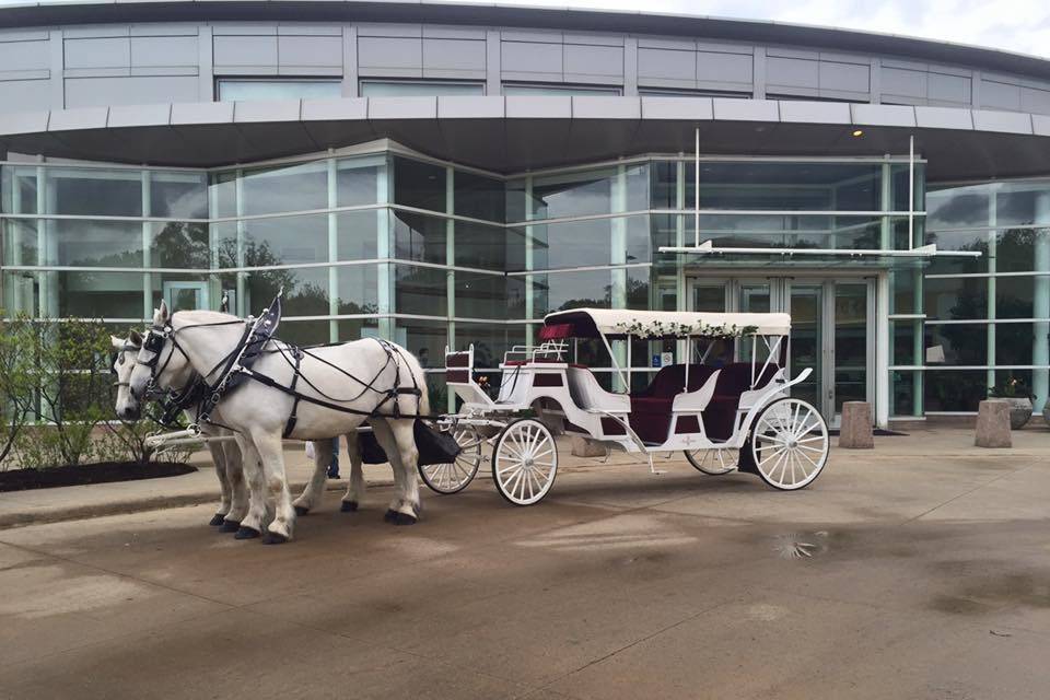 Spring Mist Farms- Carriage Service