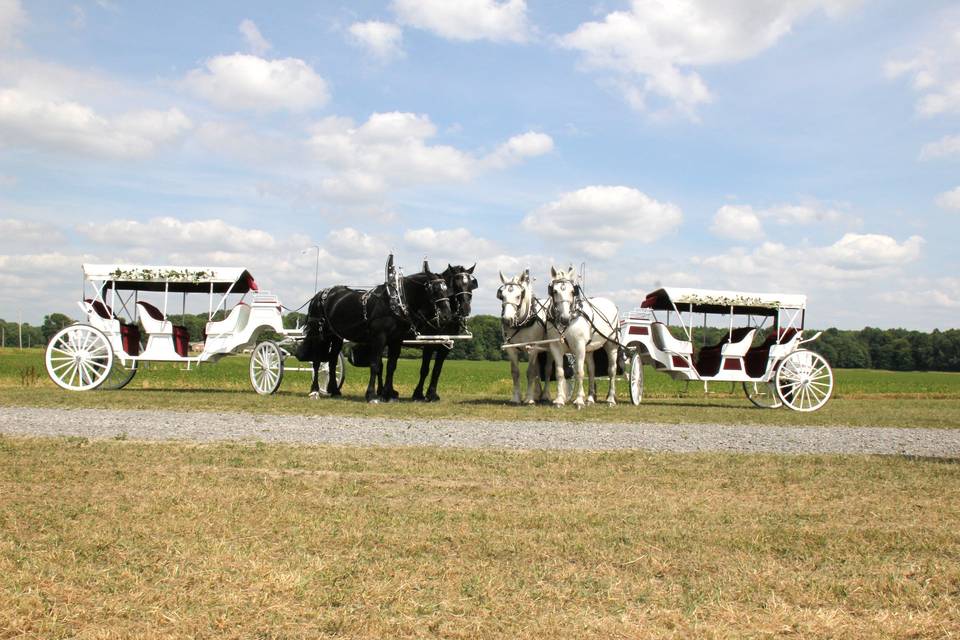 Spring Mist Farms- Carriage Service