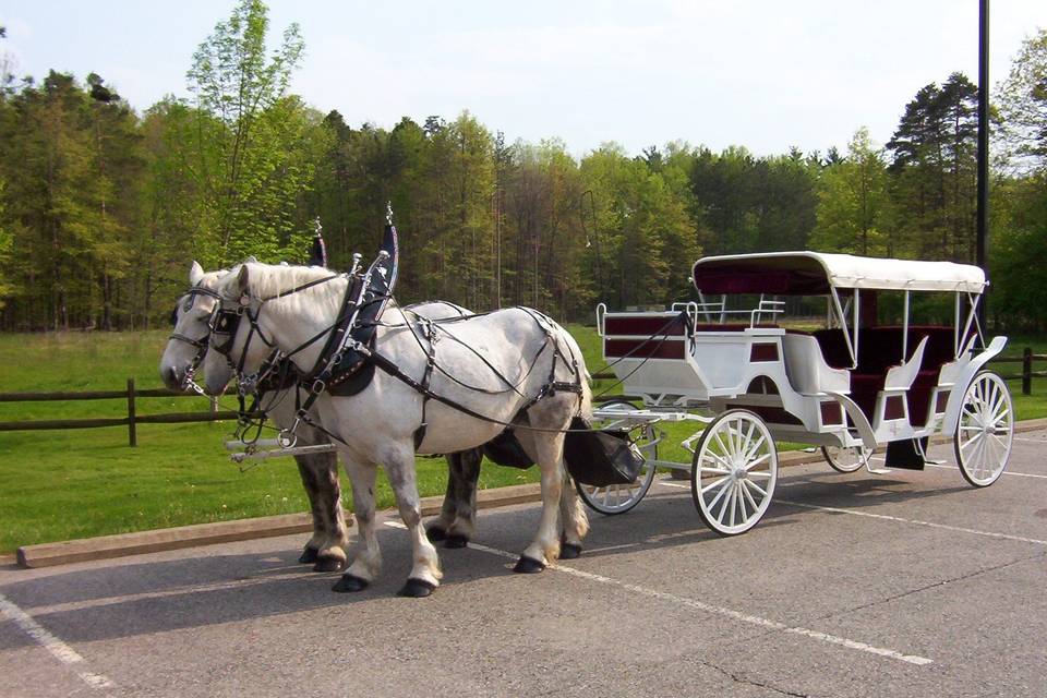 Spring Mist Farms- Carriage Service