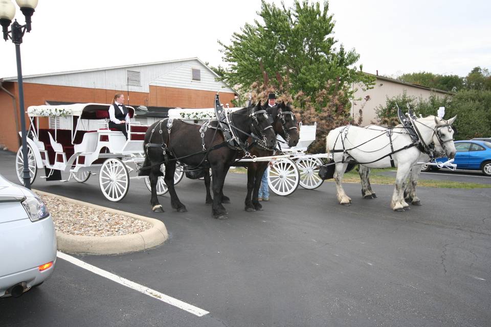 Spring Mist Farms- Carriage Service