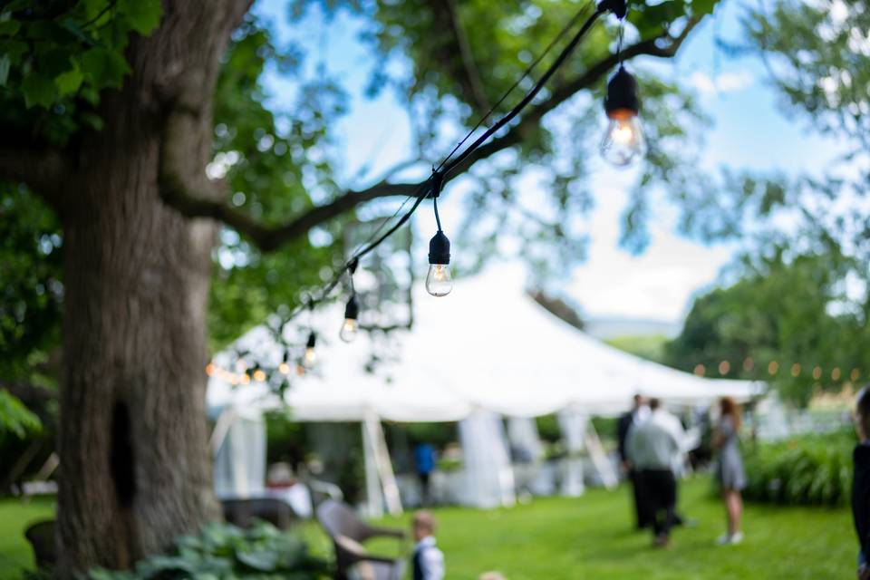 Marquee