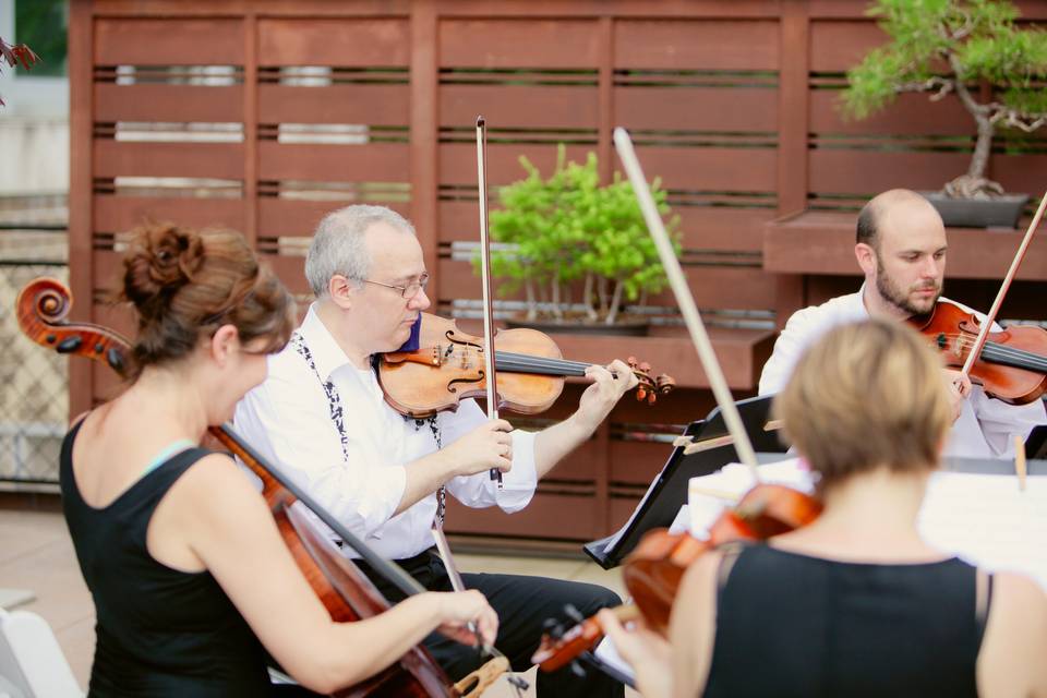 Quartet